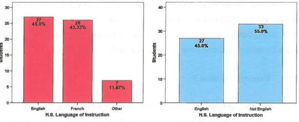 Figure 2: The Two High School Language of Instruction Groupings