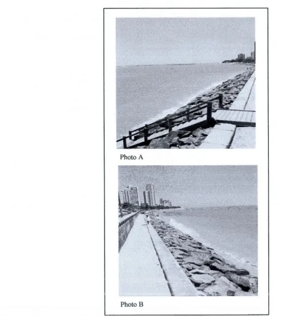 Figure  2.3  Examples of infrastructures  uses to  stop the coastal erosion  (Olinda beach dikes)