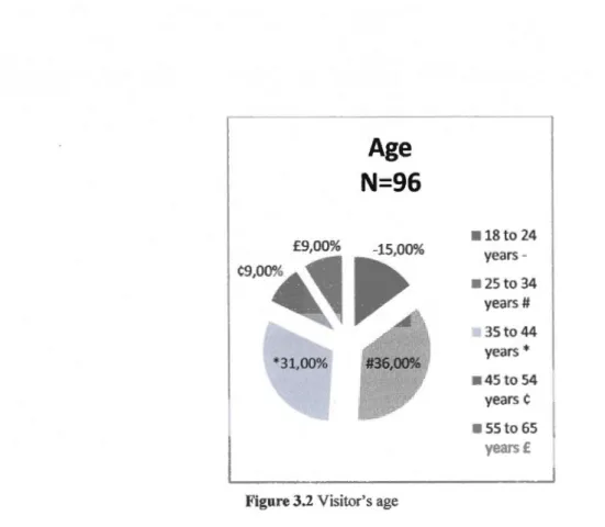 Figure 3.2 Visitor 's age 