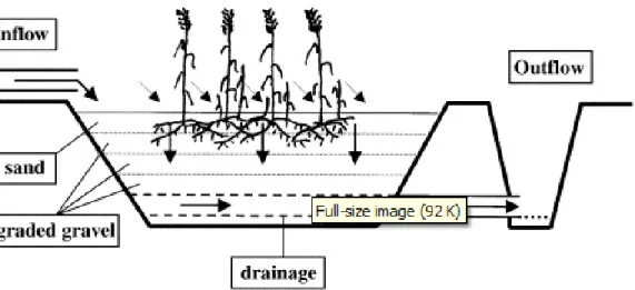 Figure 3.7 : Représentation schématique d’un marais à écoulement vertical sous la surface  (Tirée de : Vymazal, 2007,  p.50) 