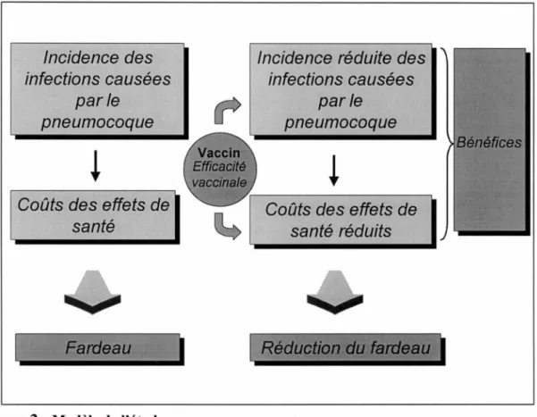 Figure 2 : Modèle de l'étude 