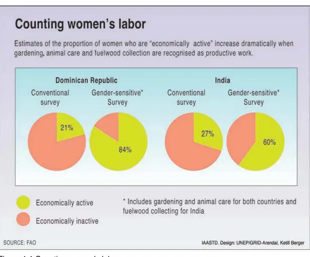 Figure 1.1 Counting women’s labor  Tiré de Green Fact, 2009 p. 1  