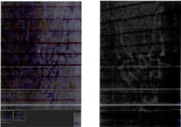 Figure  2.1  À  gauche :  fili grane  du  folio  93  recto ,  photo  prise  à  plat.  À  droite :  fili grane du folio  11 3 recto, photo prise par transparence