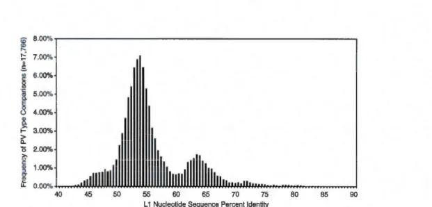 Figure 2.4:  «Fig.  1.  Distribution des  comparaisons  deux à  deux des séquences de  nucléotides de  la  région  L1  de  189  virus  du papillome