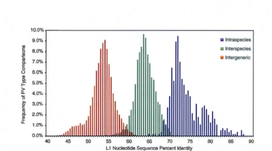 Figure  2.5 :  «Fig.  2.  Comparaisons  spécifiques  inter-genres,  inter- espèces  et  intra-espèces  des  séquen ces  de  nucléotides  de  la  région L1  selon  la  matrice  d 'alignem ent multiple  des  séquences 