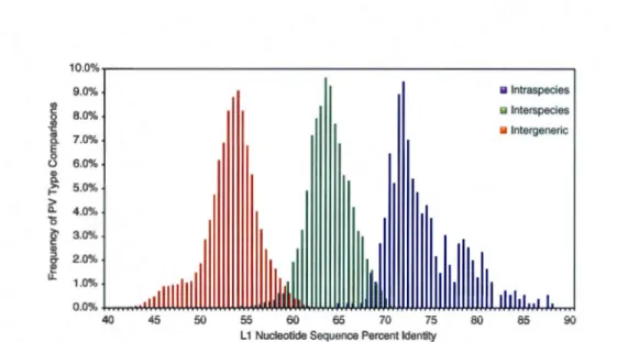 Figure  2.5 :  «Fig.  2.  Comparaisons  spécifiques  inter-genres,  inter- espèces  et  intra-espèces  des  séquen ces  de  nucléotides  de  la  région L1  selon  la  matrice  d 'alignem ent multiple  des  séquences 