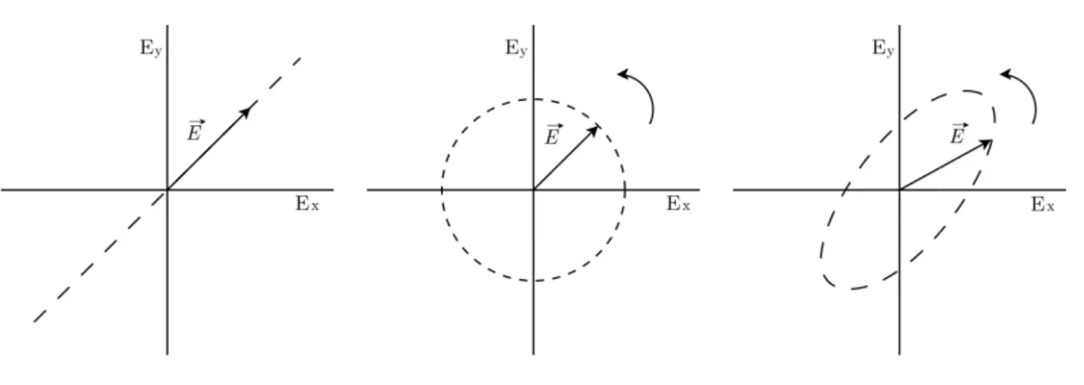 Figure 2-3 : Représentation des différents états de polarisation, les tracés l’orientation  du  champ  électrique  au  cours  du  temps