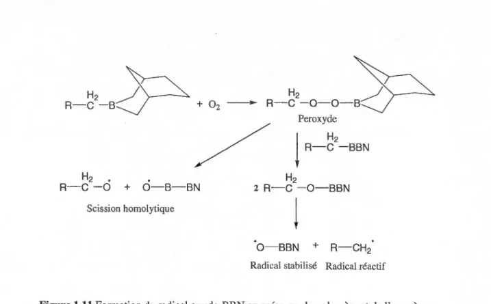 Figure  1.11 Formation du  radical oxyde-BBN en présence du polymère et de l'oxygène. 