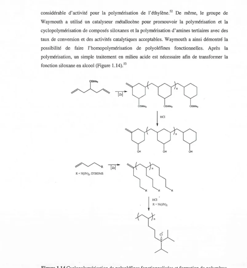 Figure 1.14 Cyclopolymérisation de polyoléfines fonctionnalisées et formation  de polymères  portant des am ines tertiaires