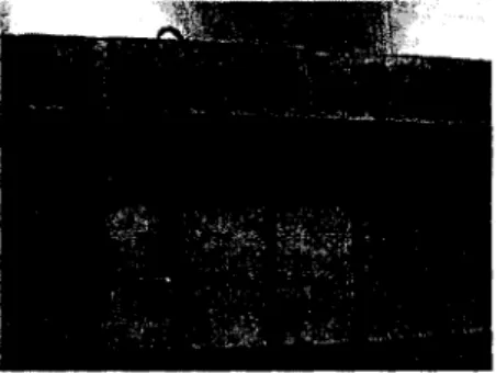 Figure 2.11: Beam with vertical NSM FRP rods for shear strengthening Lorenzis and Nanni  [2001] 