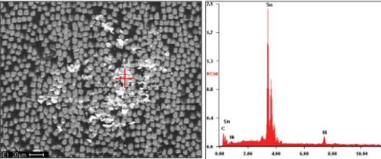 Fig. 19. SEM micrograph of the contact area on TP2 surface with the EDX spectra showing Sn traces.