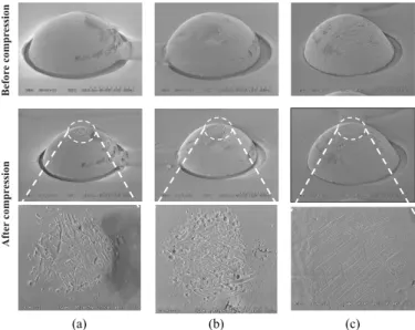 Fig. 18. SEM micrograph of bumps before and after compression.