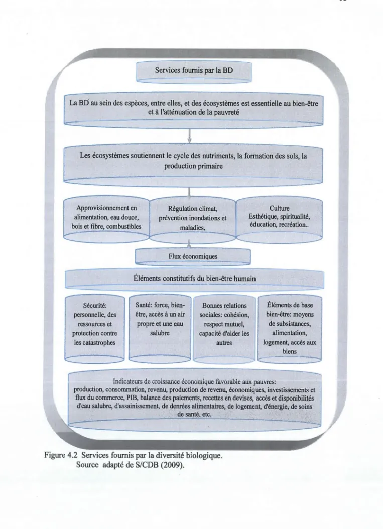 Figure 4.2  Services fournis par la diversité biologique. 