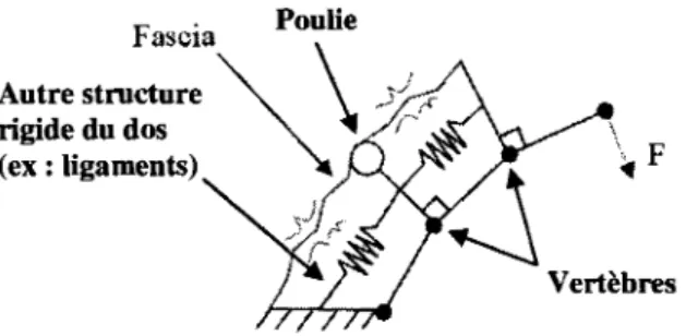 Figure 1.1 Segment vertebral schematise en vue laterale soumise a une charge F. 