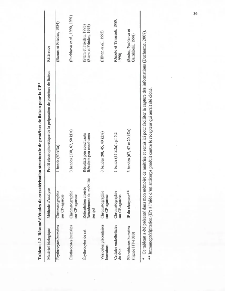 Tableau 1.2 Résumé d'études de caractérisation structurale de protéines de liaison pour la CP*  Matériel biologique  Érythrocytes humains  Érythrocytes humains  Érythrocytes de rat  Vésicules placentaires  humaines  Cellules endothéliales  du foie  Fibrobl