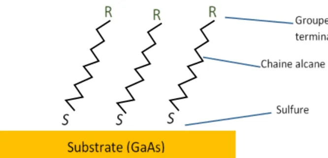 Fig. 2.3. Schéma présentant la formation d’une structure ordonnée SAM  d’alcanethiols 