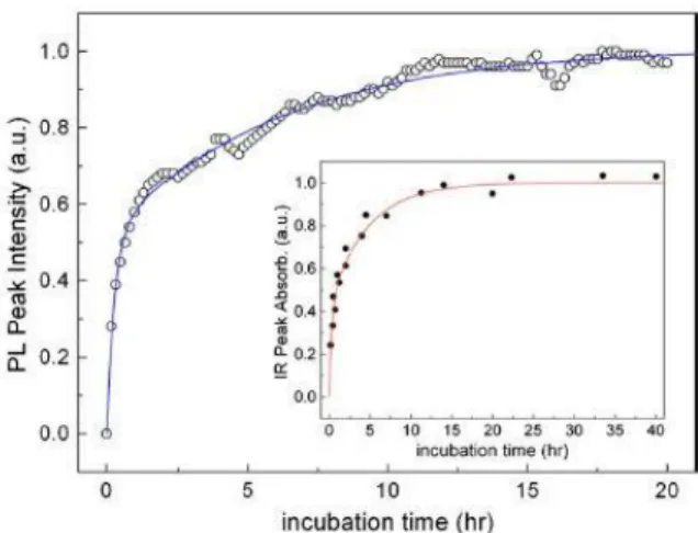 Fig. 2.4. Évolution de l’intensité de pic de PL et de l’absorbance IR en  fonction du temps d’incubation [31] 