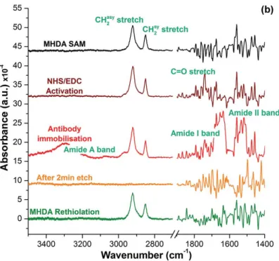 Fig. 2.10. Spectre d’absorbance FTIR des pics des vibrations CH 2