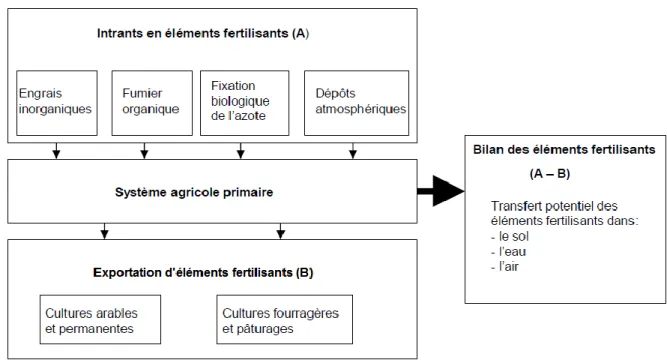 Figure 1  Schéma du bilan de l'azote d'une entreprise agricole (production végétale)  (inspirée de : OCDE, 2013, p.69) 
