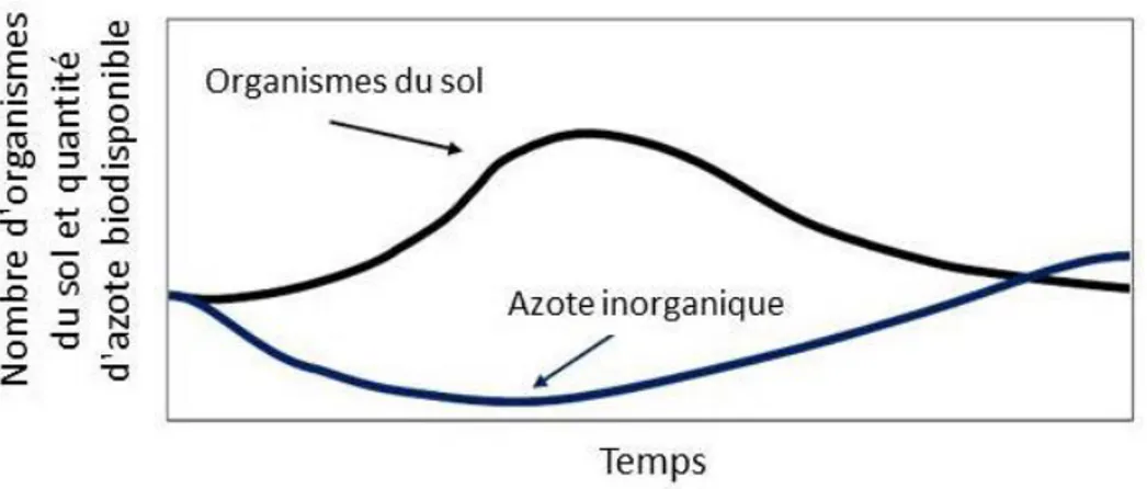 Figure 2  Variation relative des microorganismes et de l'azote inorganique suite à un  ajout de matière organique de rapport C/N élevé (tirée de : Lauzon, 2013)