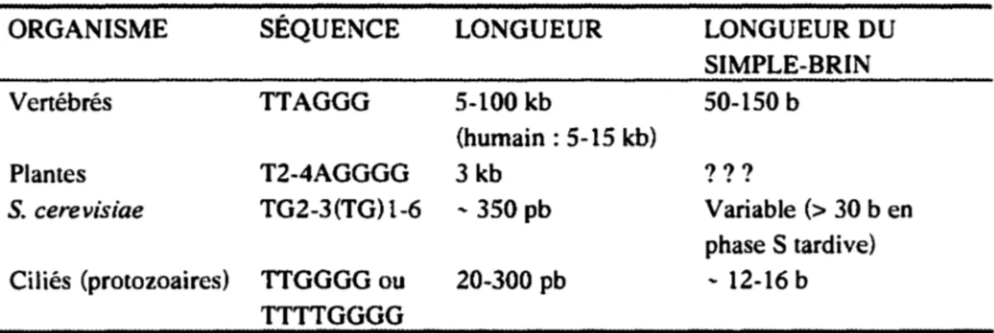 Tableau 1. Répétitions télomériques (Dandjinou et al.,  1999) 