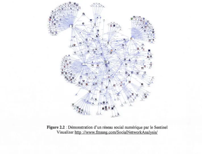 Figure 2.2  :Démonstration d'un réseau  social numérique par le  Sentine! 