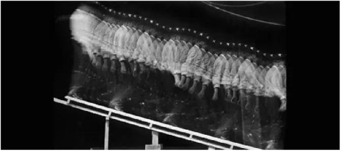 Figure 1. Descent of Inclined Plane - Étienne-Jules Marey (1882). This photograph is one  of the first cinematic recordings of human locomotion using successive serial images