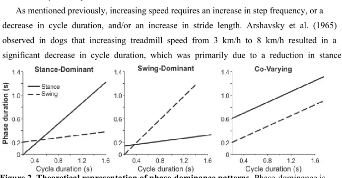 Figure 2. Theoretical representation of phase-dominance patterns. Phase-dominance is  used to describe the phase (stance or swing) showing a larger variation as a function of cycle  duration