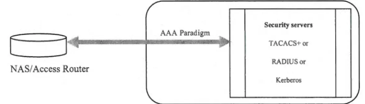 Figure 4.1  paradigm 