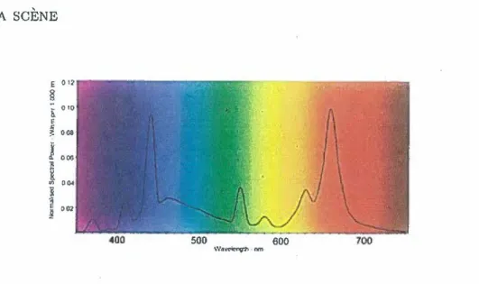 Figure 1.1  - Le spectre d'une lampe au néon,  image tirée de [73]. 