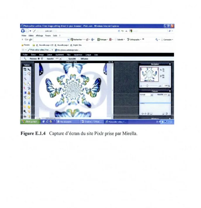 Figure E.1.4  Capture d' écran du  site Pixlr prise par Mirella. 