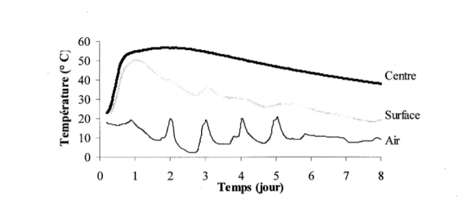 Figure 4.1 Evolution de la temperature d'hydratation d'un element massif 