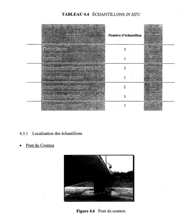 TABLEAU 4.4 ECHANTILLONS IN SITU 
