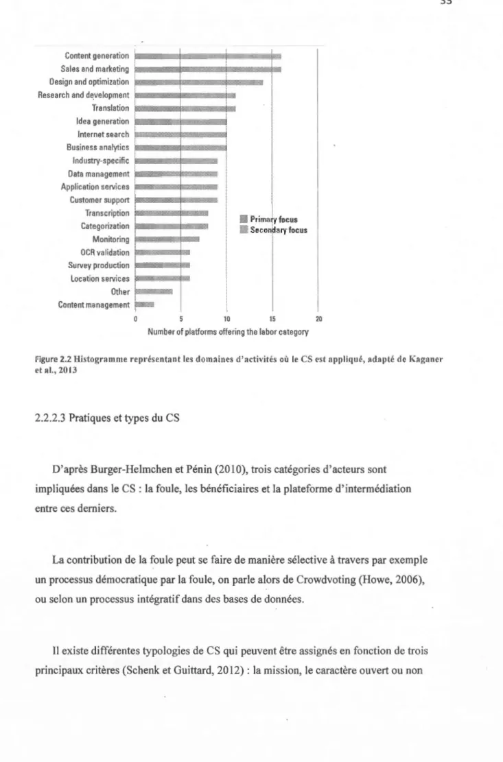 Figure 2.2  Histogramme représentant les  domaines d'activités où  le  CS est app liqué,  adapté de Kaganer  et al., 2013 