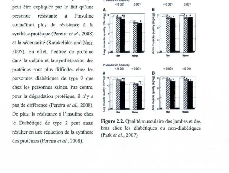 Figure  2.2.  Qualité musculaire des jambes et des  bras  chez  les  diabétiques  ou  non-diabétiques  (Park  et al.,  2007) 