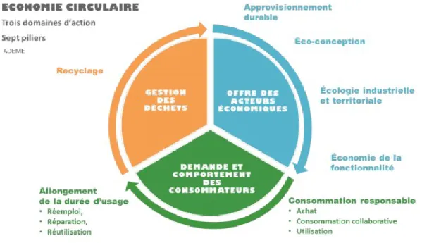 Figure 1.2 Les domaines d'action et les piliers de l'économie circulaire (tiré de : ADEME, 2015a)  Ces  sept  piliers  sont  interdépendants  et  assurent  le  bon  fonctionnement  de  l’économie  circulaire,  puisque l’un permet de mettre en œuvre le suiv
