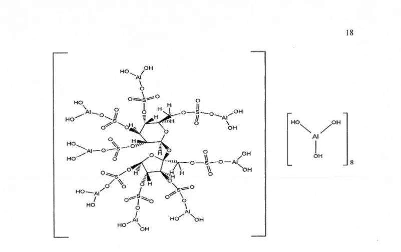 Figure 1.8 : Structure chimique du  complexe de  sucralfate. 