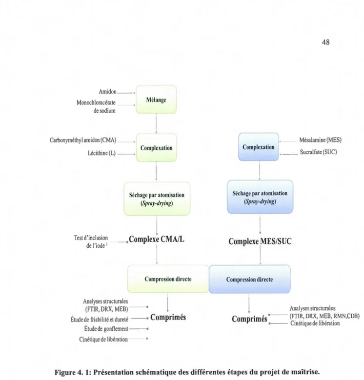 Figure 4.  1:  Présentation  schématiqu e des différentes  étapes  du projet de maîtrise