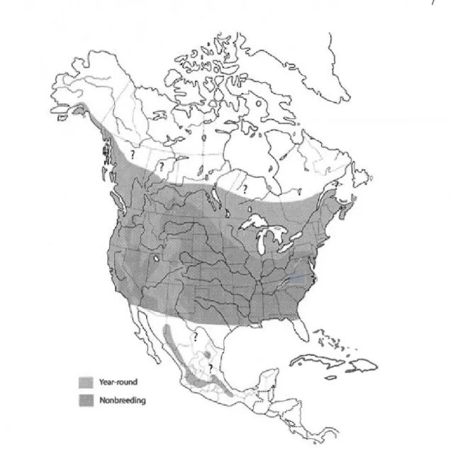 Figure  0.1  : Distribution  de  la Petite Nyctale (Aegolius  acadicus).  Les  limites  de  nidification  (&#34; Year-round &#34;)  et  des  zones  d' hivernage  (&#34;  Nonbreeding &#34;)  sont  délimitées  avec  une  certaine  marge  d'erreur  étant  don