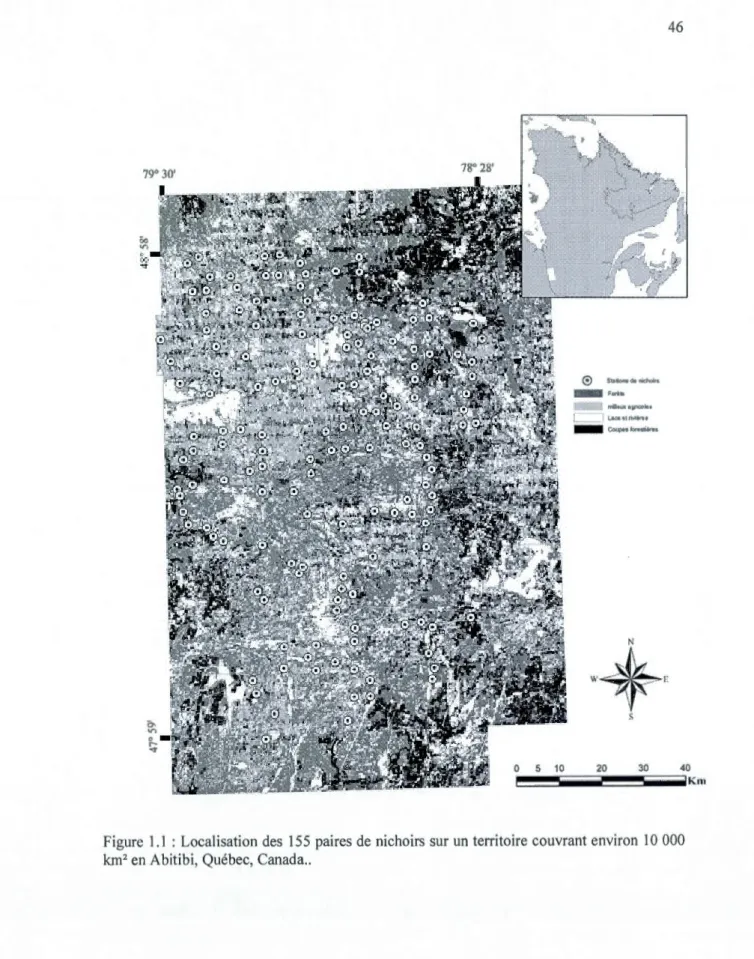 Figure  1.1  : Localisation des  155  paires  de  nichoirs  sur un  territo ire  couvrant environ  10  000  km 2  en  Abitibi, Q uébec, Canada  .
