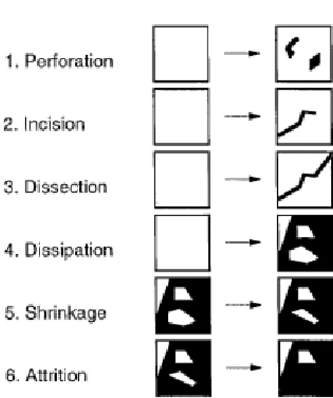 Figure 2.7 Les phases de la fragmentation (Tiré de Jaeger, 2000) 