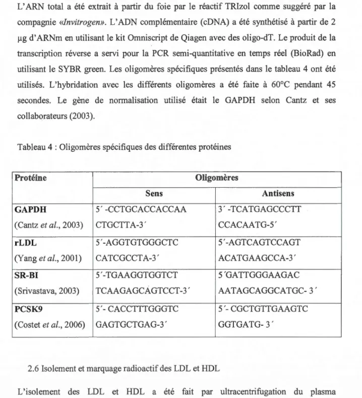 Tableau 4  : Oligomères spécifiques des  différentes protéines 
