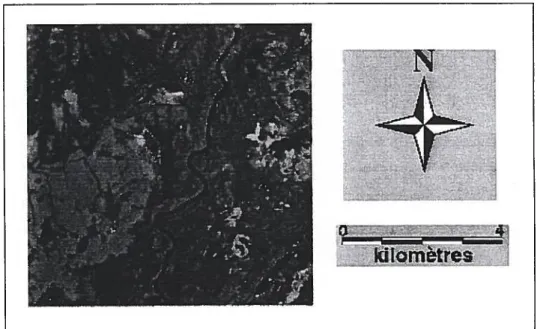 Figure 5.2- Bande 4, image TM de LANDSAT (zone test, Goose Bay, Labrador).