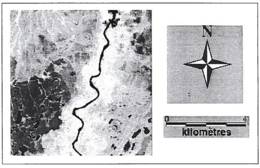 figure 5.3- Image du NDVI (zone test, Goose Bay, Labrador).