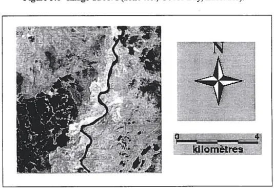 Figure 5.6- Image du AVI (zone test, Goose Bay, Labrador).