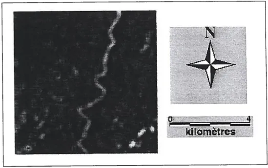 Figure 6.12- Image du coefficient de variation (zone test, Goose Bay, Labrador).