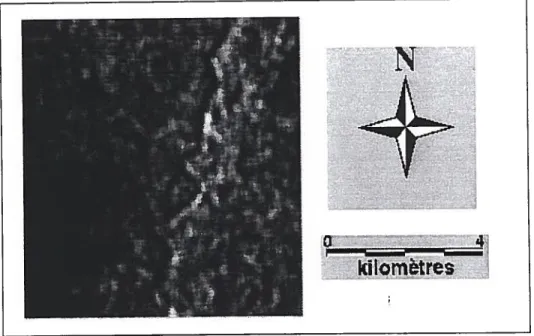 Figure 6.15- Image du contraste (zone test, Goose Bay, Labrador).