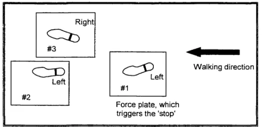 Figure 1 b.  Experimental set-up of Jian et al.  (1993). 