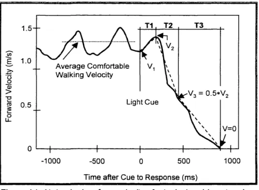 Figure 1 d.  Abdominal surface velocity of a typical sud den stopping  trial according to Cao et al
