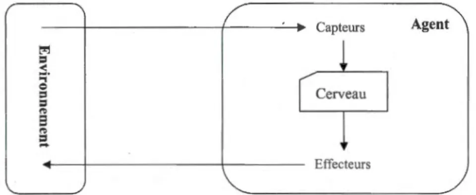 Figure 1.1  Un age nt interagit  avec  son environnement grâce  à  ses capteurs et ses effecteurs
